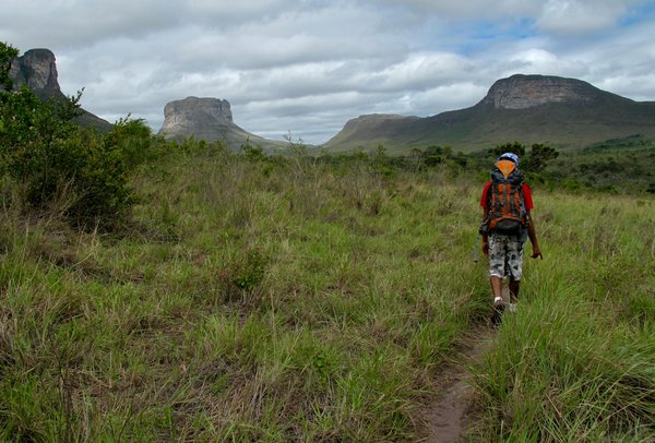 Safari en famille: Ce qu'il faut savoir