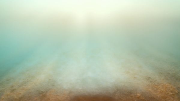 Découvrez les offres spéciales des croisiéristes pour 2023 !