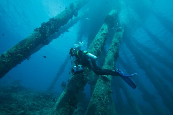 Excursions de plongée sous-marine : 10 spots incroyables