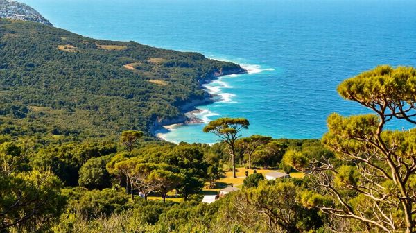 Top 5 campings incontournables à saint-palais-sur-mer